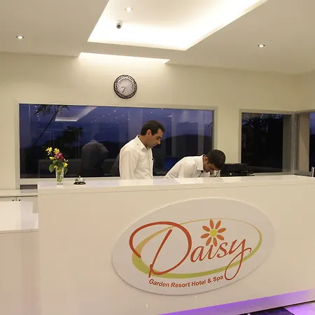 Daisy Garden